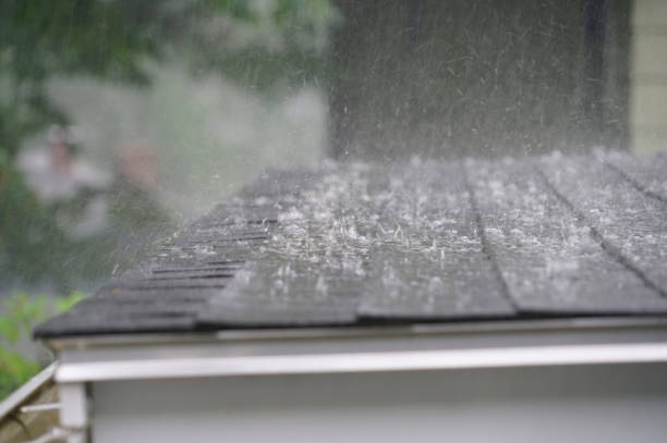 Best Gutter Installation and Repair  in Monroe, OH